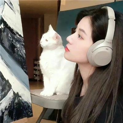 诈欺担保人第三季