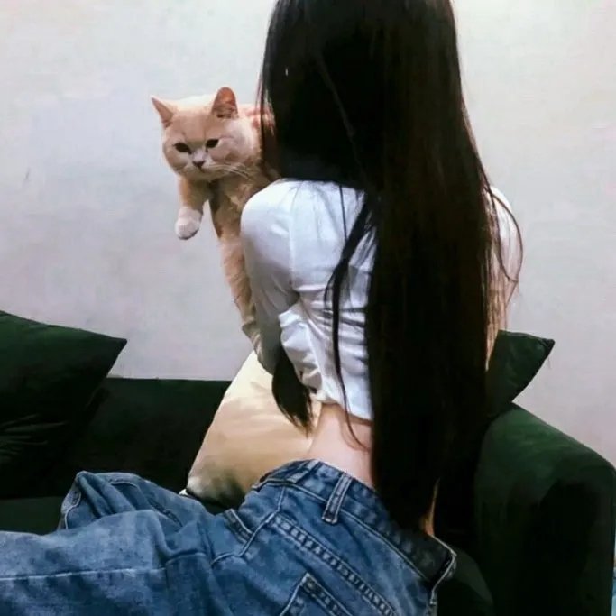 欢乐喜剧人 老友季